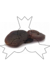 gedroogde naturel abrikozen gedroogde naturel abrikozen