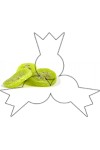Gedroogde kiwi