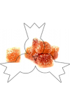 gember blokjes 250g