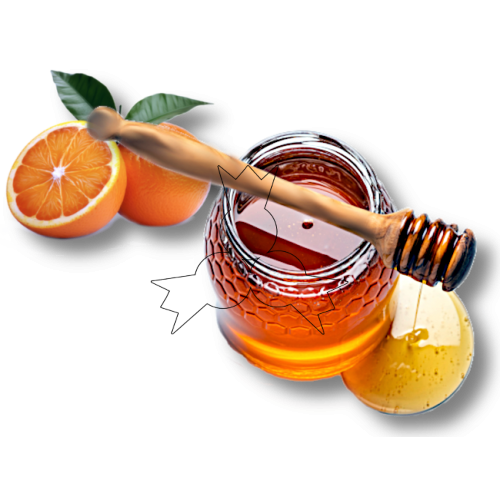 Sinaasappel honing 400g