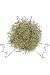 Rozemarijn 50 g