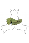 Laurierblad 10 g Laurierblad 10 g