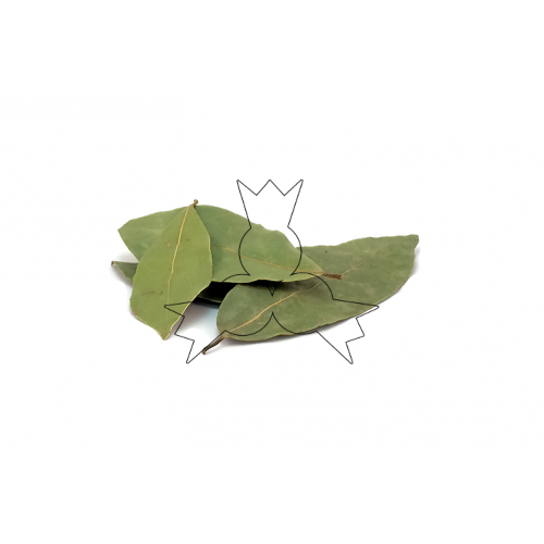 Laurierblad 10 g Laurierblad 10 g