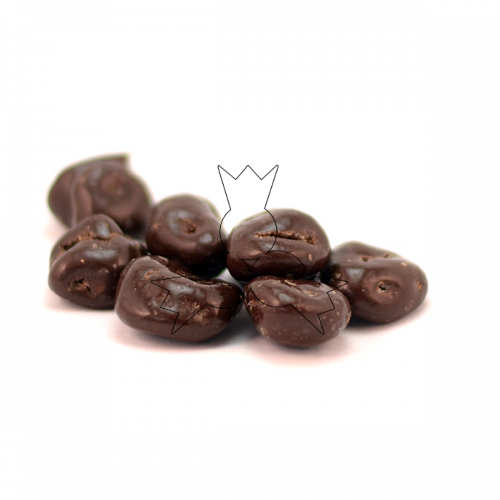 Pure chocolade rozijnen 250 g