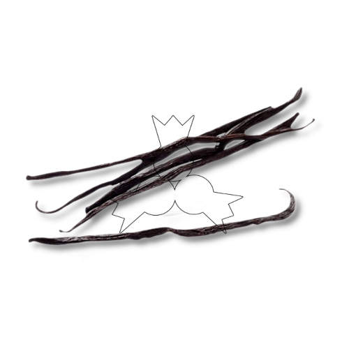 Biologish vanille stokje ca 4g