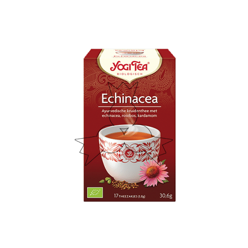 Biologische echinacea thee 17 zakjes