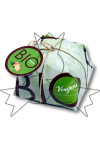 BIO panettone 750g