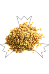 Fenegriekzaad 100 g
