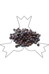 Jeneverbessen 80 g