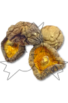 Gedroogde shiitake paddestoelen 50 g