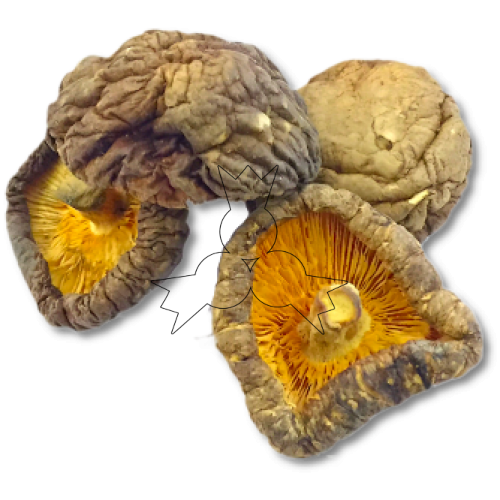 Gedroogde shiitake paddestoelen 50 g