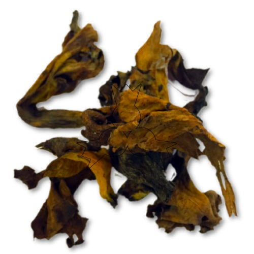Gedroogde zwarte trompette paddestoelen 30 g
