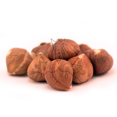 Rauwe hazelnoten 10 kg