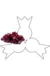 cranberries met appeldiksap 1 kg